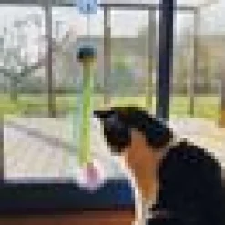 Kattleksak Ventosa med sugkopp