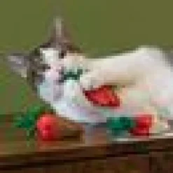 KattLeksak YEOWWW Strawberries 3pack