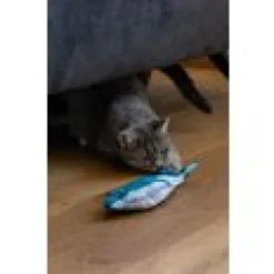 Kattlikasak sprattlande Haj