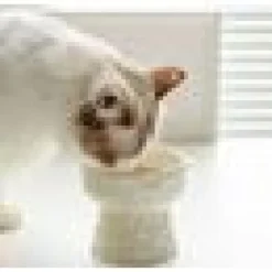 Kattmatskål Ceramic Ädelruggad Rak