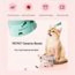 Kattmatskål petkit Turkos
