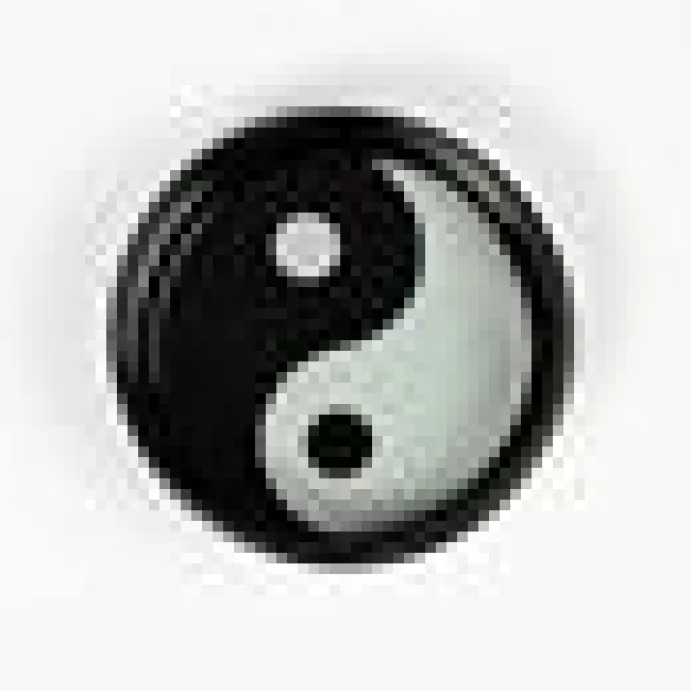 Kattmatskål YINYANG Svart