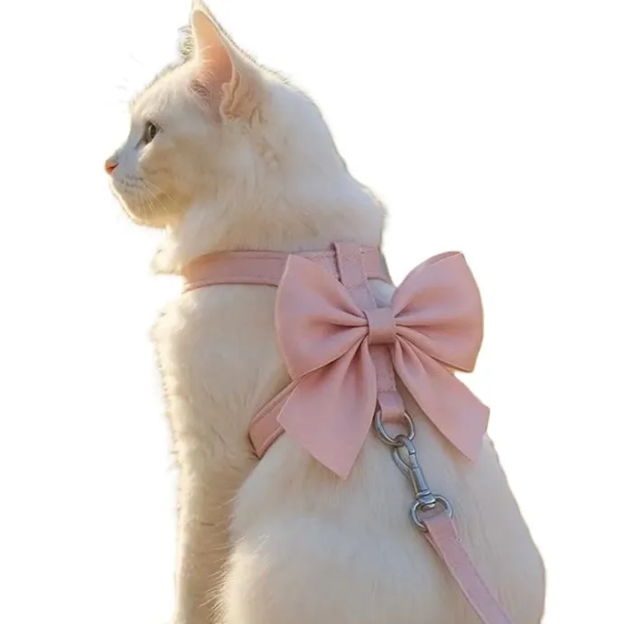 Kattsele Bowknot Rosa