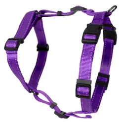 Kattsele H-modell Lila xs