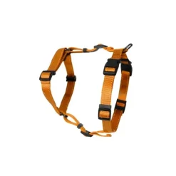 Kattsele H-modell Orange S