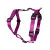 Kattsele H-modell Rosa S