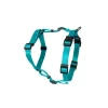 Kattsele H-modell Turkos xs