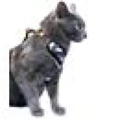 Kattsele H-sele Komfort m Koppel Eclipse