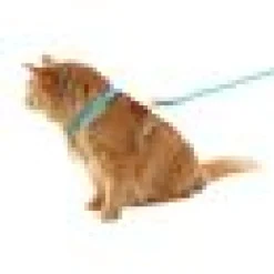 Kattsele H-sele Komfort m Koppel Maresia