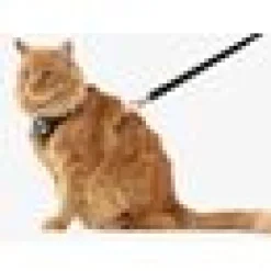 Kattsele H-sele Komfort m Koppel svart