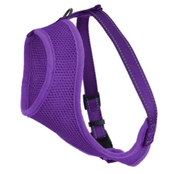 Kattsele Iris Lila XS