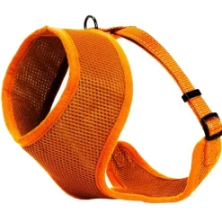 Kattsele Iris Orange M