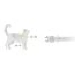 Kattsele + Koppel Betty You