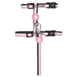 Kattsele + Koppel Stripes3 Rosa & Svart