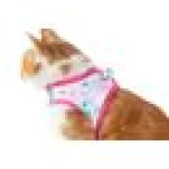 Kattsele little kitty Bomullsgodis
