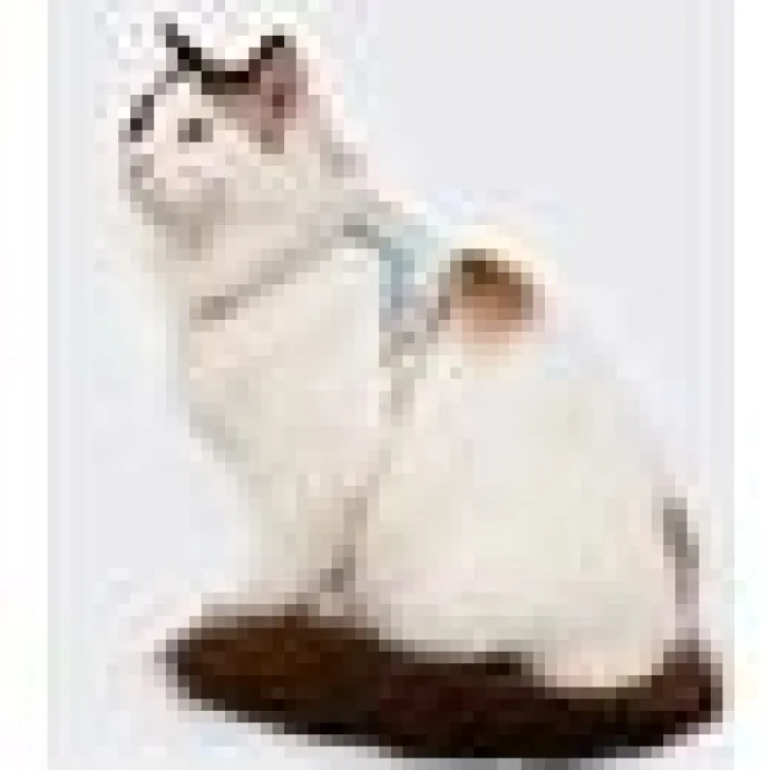 Kattsele Loofie växtläder Blå
