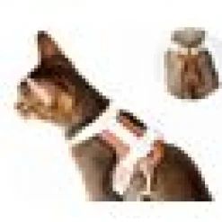 Kattsele Loofie växtläder Turqos