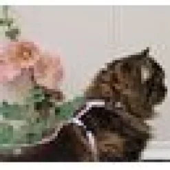 Kattsele Max& Molly Cherry Bloom