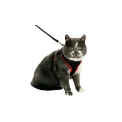 Kattsele mesh med koppel kattunge Svart
