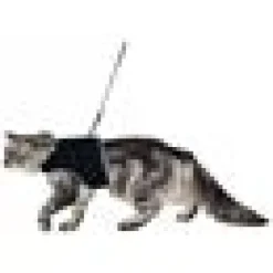 Kattsele mjuk med koppel Svart