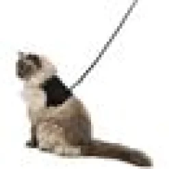 Kattsele mjuk med Koppel XXL