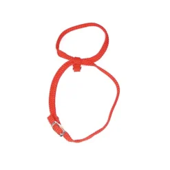 Kattsele 8 nylon RÖD