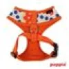 Kattsele Puppia blossom Orange XS