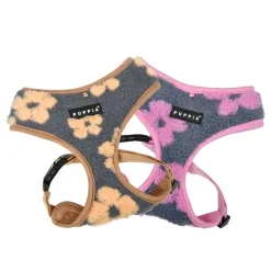Kattsele Puppia Pawd Ren