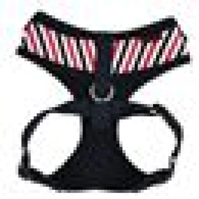 Kattsele Puppia Seaman Navy