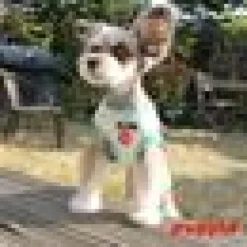 KATTSELE PUPPIA SOFT HARNESS AQUA S