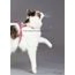 Kattsele reflex med koppel RedDingo Rosa