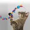 Kattspö Kong Teaser Loopz