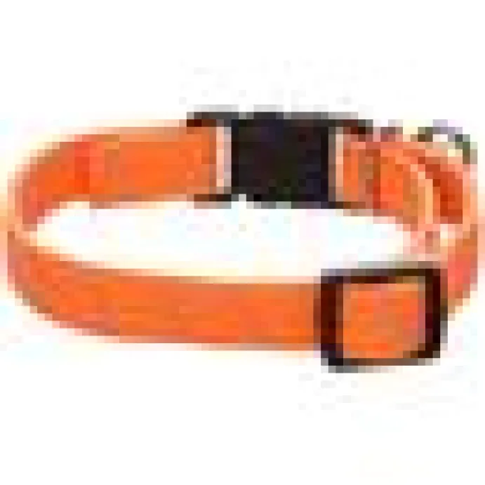 Kattungehalsband elastiskt Elsa Orange