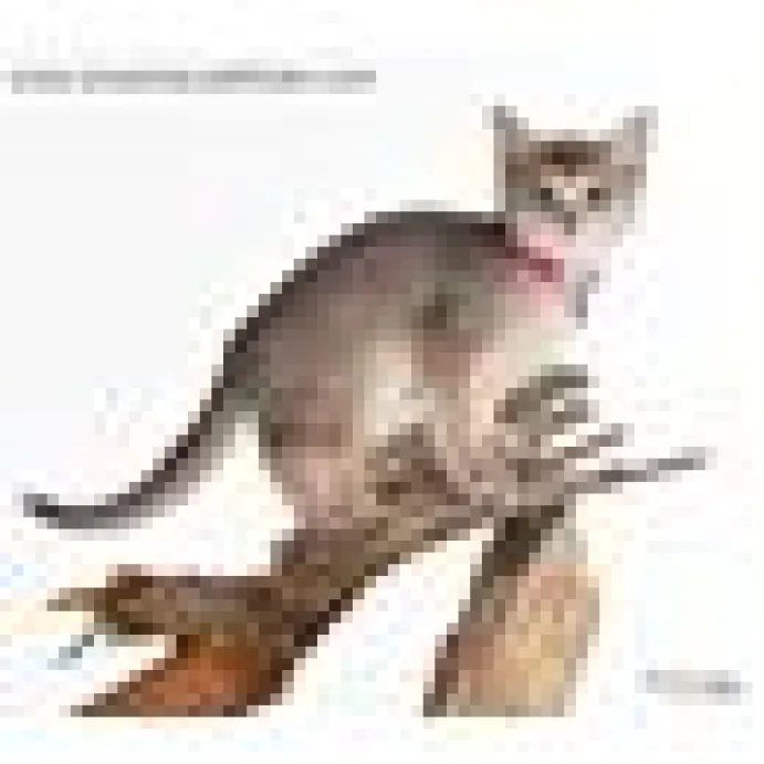 Kattungehalsband RedDingo mörkrosa