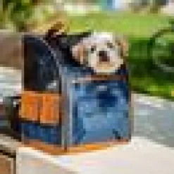 Kattväska Backpack Tomek Blå