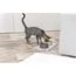 Keramikskål Leopard på Sidan
