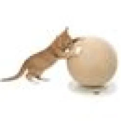 Klösboll på platta