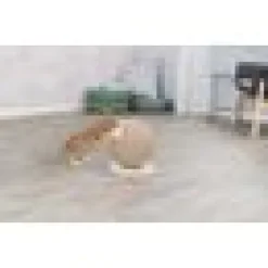 Klösboll på platta