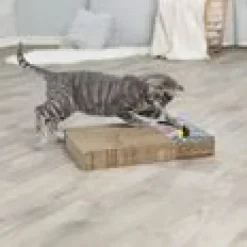 Klösbräda med 2 bollar och kattmynta