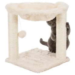 Klösträd Baza Creme 50 cm