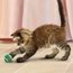 Kong Cat Active Tennisball W/bells 3 pack