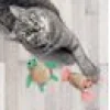 Kong Cat Tropics Pals 2-pack