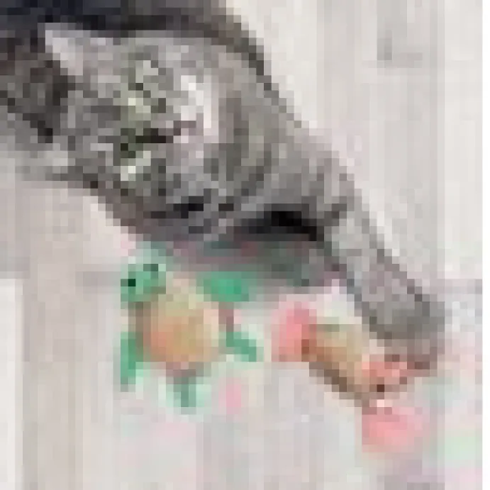 Kong Cat Tropics Pals 2-pack