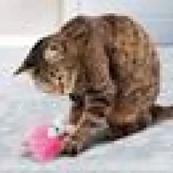 Kong Flingaroo Tutu Mix