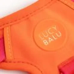 LucyBalu Explorer kattsele Apelsin M/L