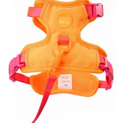 LucyBalu Explorer kattsele Apelsin XS/S