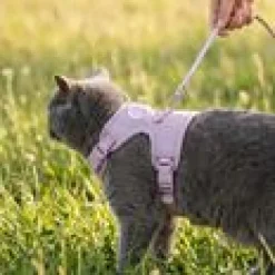 LucyBalu Explorer kattsele Lila XS/S