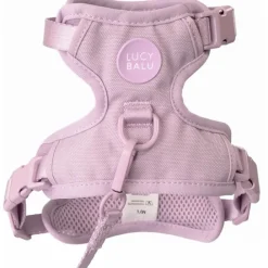 LucyBalu Explorer kattsele Lila XS/S
