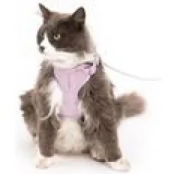 LucyBalu Explorer kattsele Lila M/L