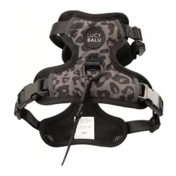 LucyBalu Explorer kattsele Leo M/L